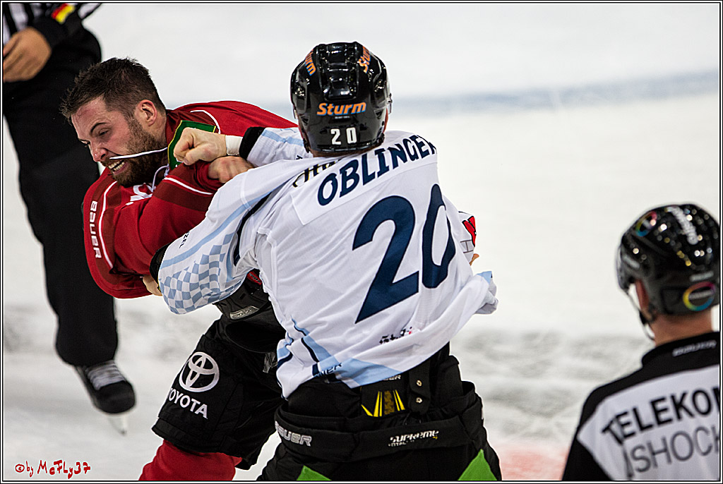 Koelner Haie - Straubing Tigers, 03.10.2016